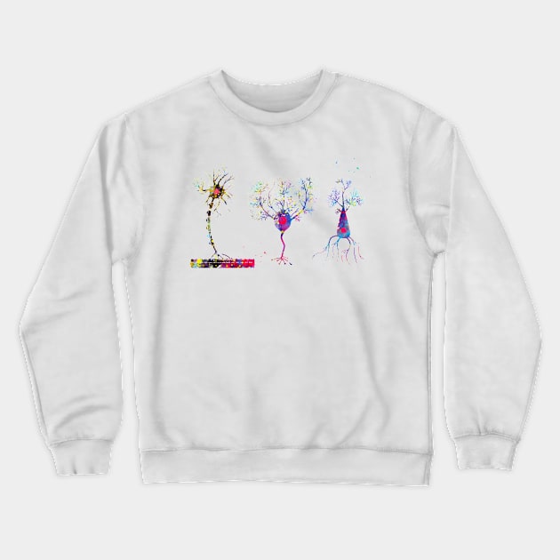 Multipolar Neuron Crewneck Sweatshirt by erzebeth